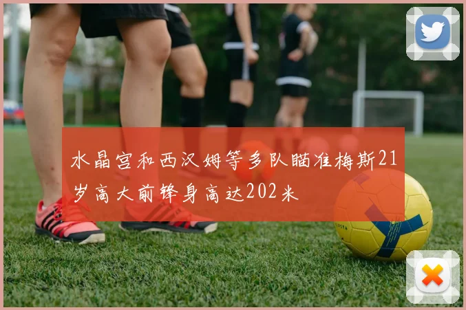 水晶宫和西汉姆等多队瞄准梅斯21岁高大前锋身高达202米